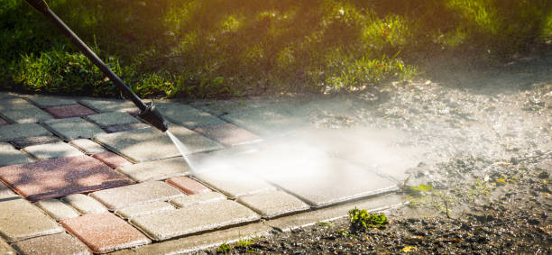 Best Animal Enclosure Cleaning  in Fairfax, SC